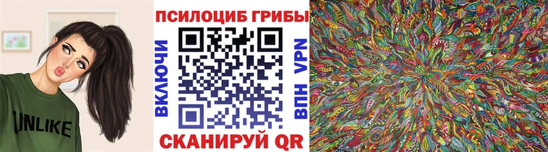 Галлюциногенные грибы Magic Shrooms  Екатеринбург 